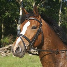 DSP Leonardo -Solgt :'(