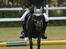 Welsh Pony (sec B) Blackie - til regions mesterskaberne