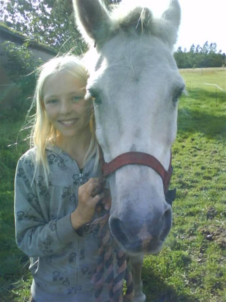 Anden særlig race Bonnie - Mit y-billede <3<3<3  billede 13