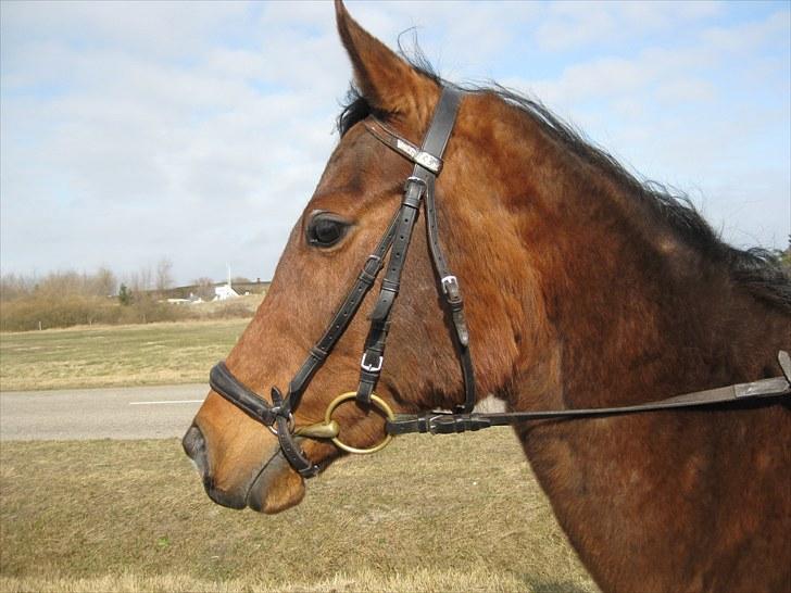 Arasier Kana-død<33 - nyt billede- påskeferien. billede 5