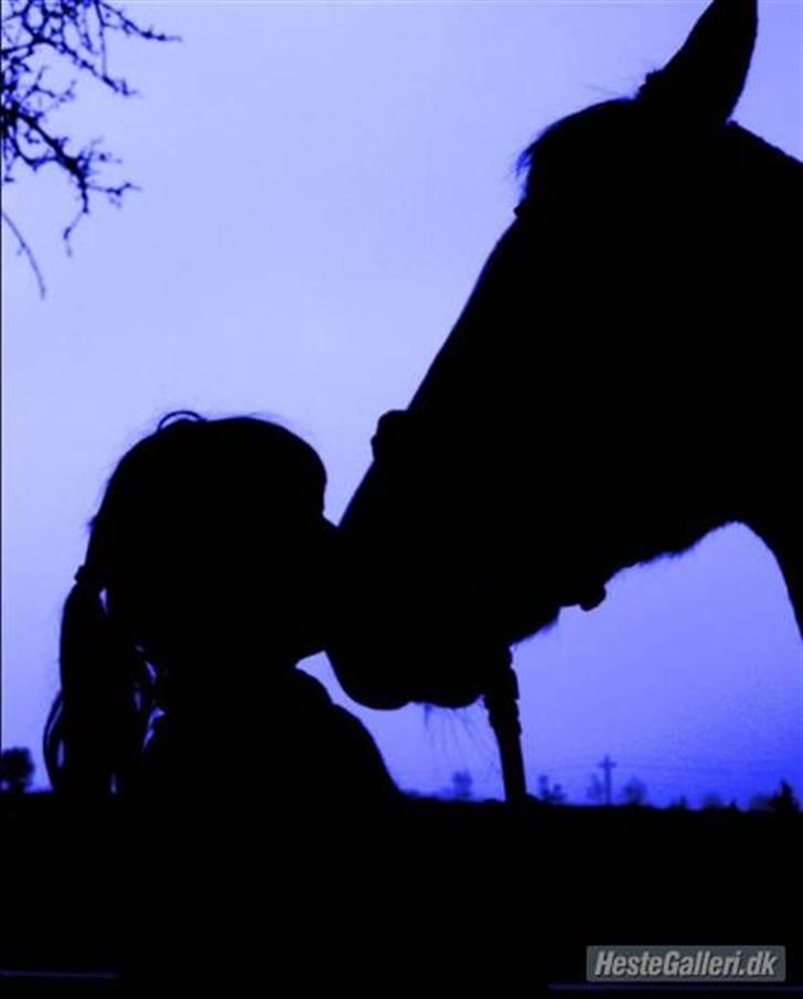 Arasier Kana-død<33 billede 8