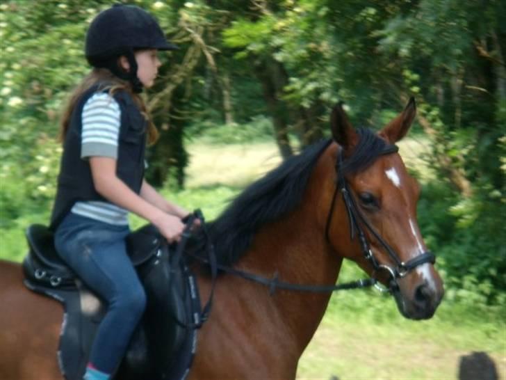 Arasier Kana-død<33 billede 15