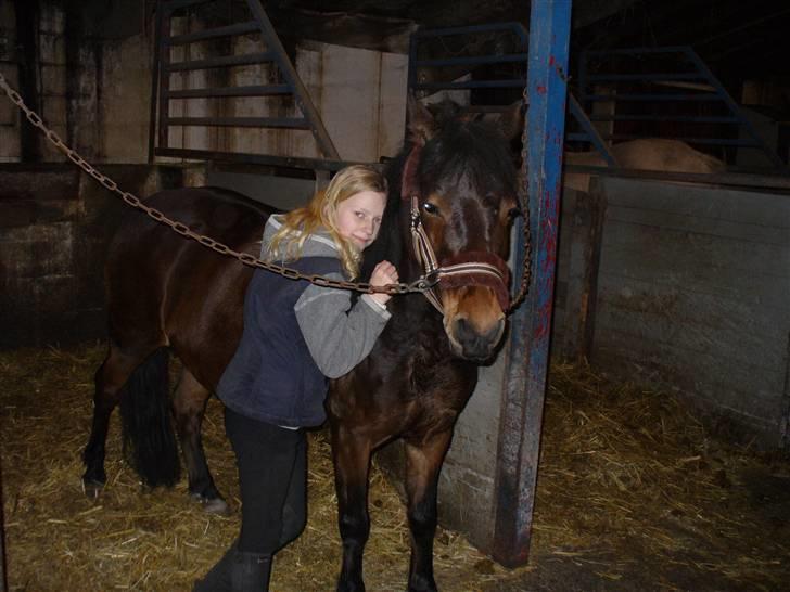 Anden særlig race Mia Maia billede 3