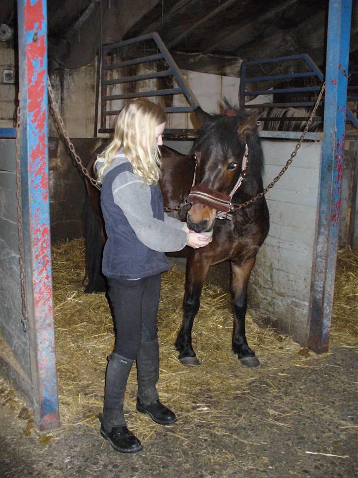 Anden særlig race Mia Maia billede 4