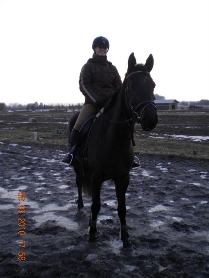 Trakehner Fariy's Nice Surprice † R.I.P † - 5 gang oppe på hende uden der skal holdes helt fat i os;) billede 14