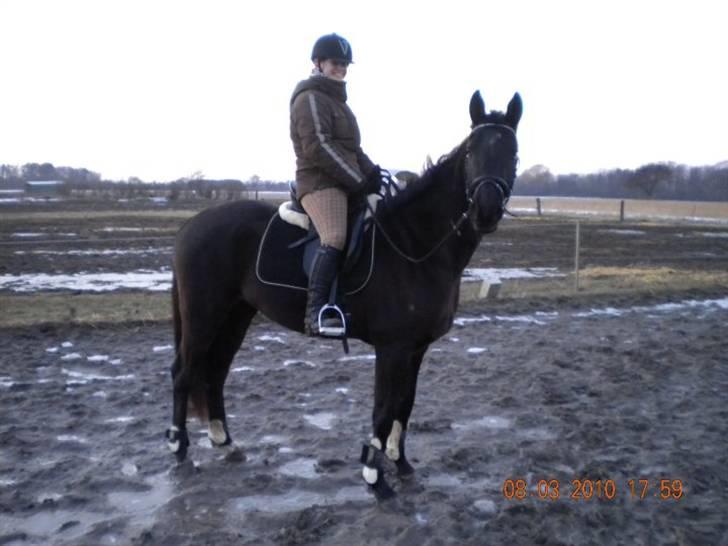 Trakehner Fariy's Nice Surprice † R.I.P † - 5 gang oppe på hende uden der skal holdes helt fat i os;) billede 15