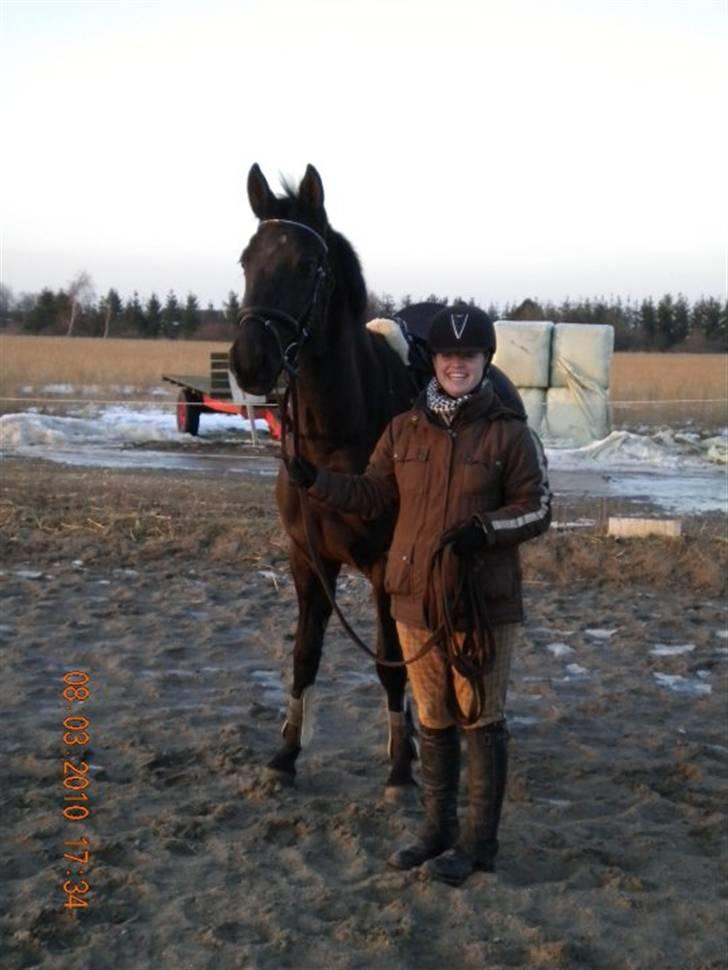 Trakehner Fariy's Nice Surprice † R.I.P † - Står med den dejligt pige Mummi super god dag hun var så fin;) billede 16