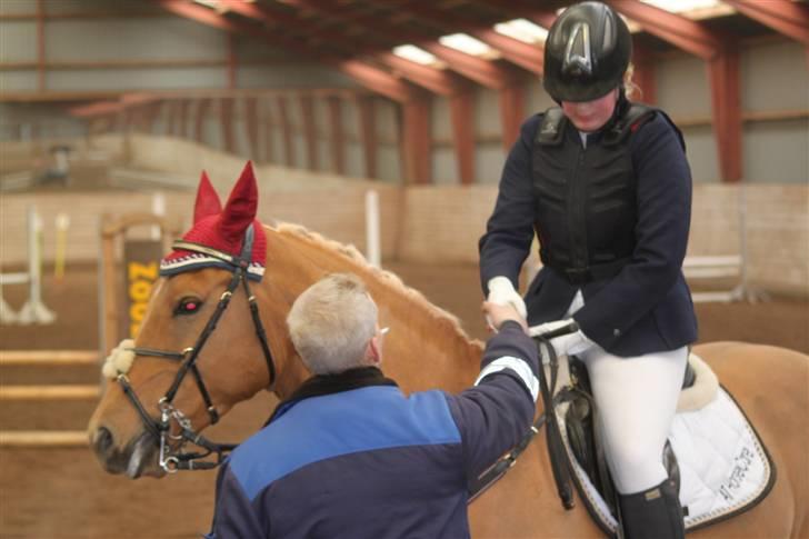 Anden særlig race Trigger Af Sandager billede 16