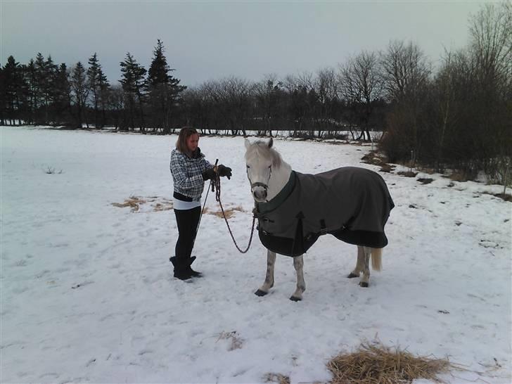 Anden særlig race Mille billede 12