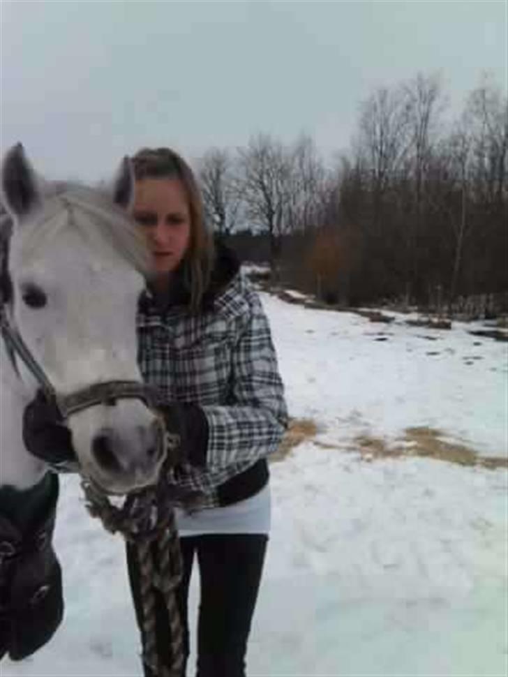 Anden særlig race Mille billede 13