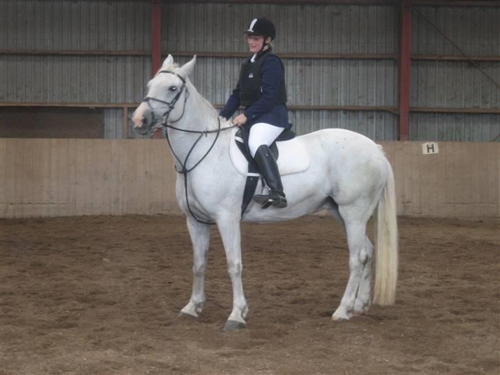 Anden særlig race Faxi billede 6