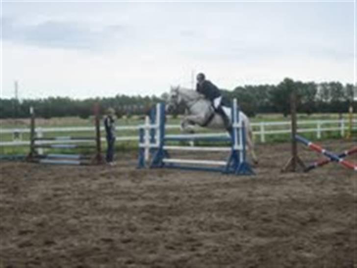 Anden særlig race Faxi billede 7