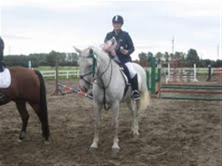 Anden særlig race Faxi billede 8