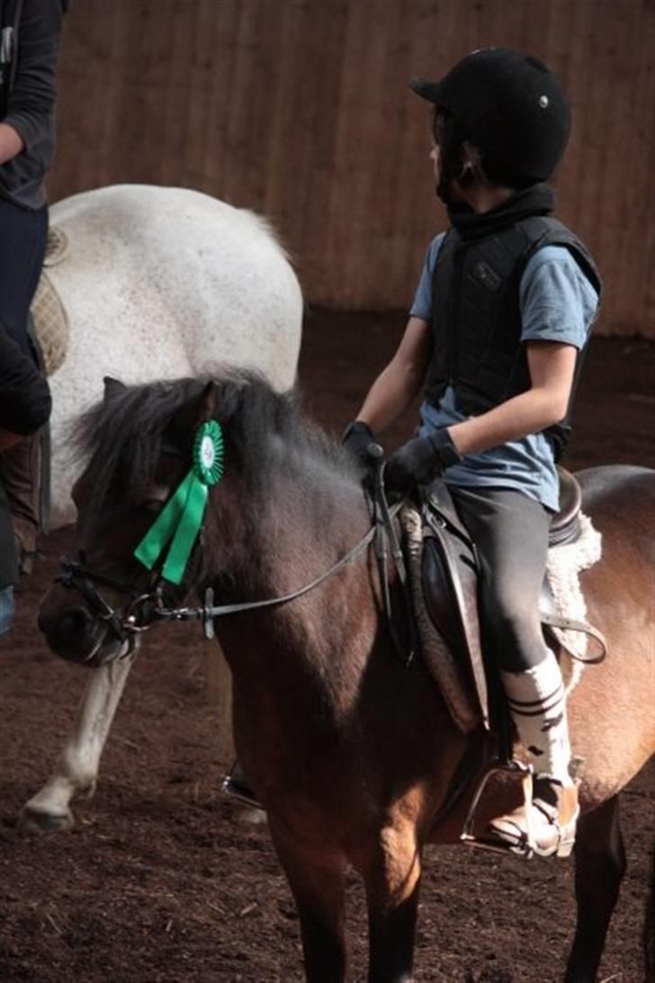 Anden særlig race Musse - Rideskole pony - Mig og Musse - Præmie overrakelse. Foto: Ida Dalgaard  billede 19