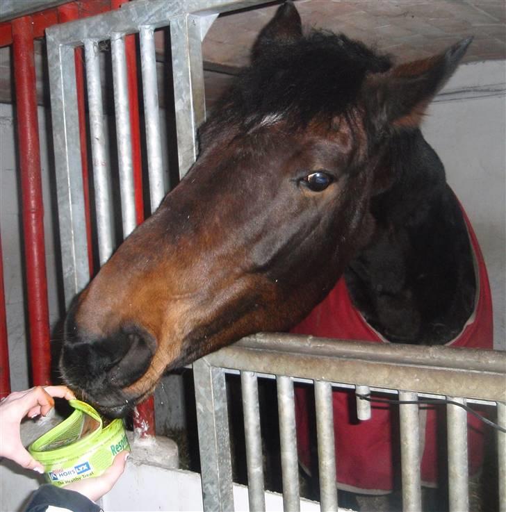Anden særlig race Ronja - savnes )-'; - Giv mig nu noget mere sliksten!!! Jeg kaaaaaaaan næsten ikke nå den xD billede 11