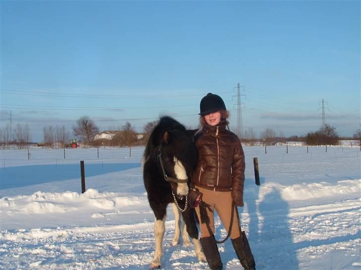 Anden særlig race Tonto billede 4