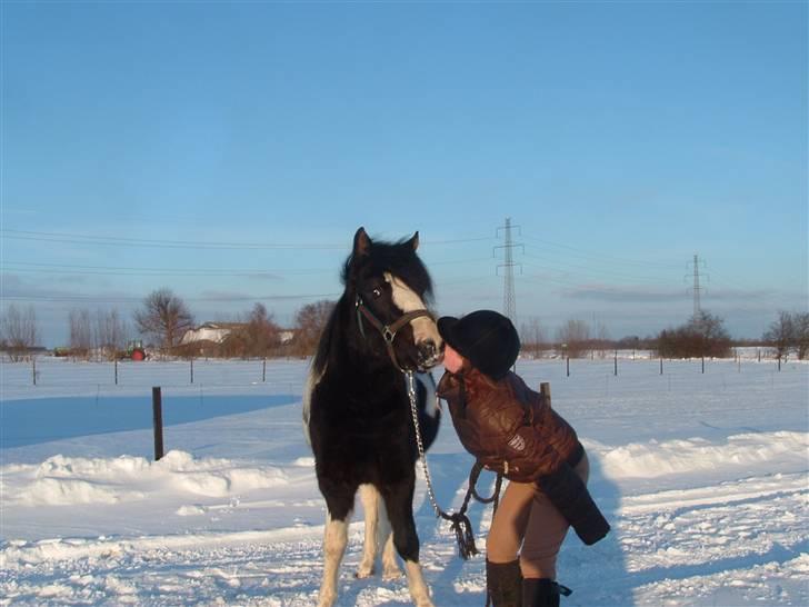 Anden særlig race Tonto billede 5