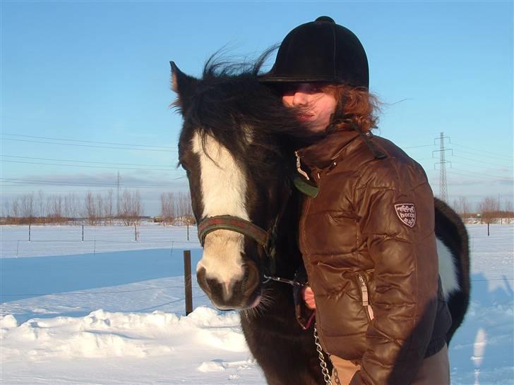 Anden særlig race Tonto billede 6