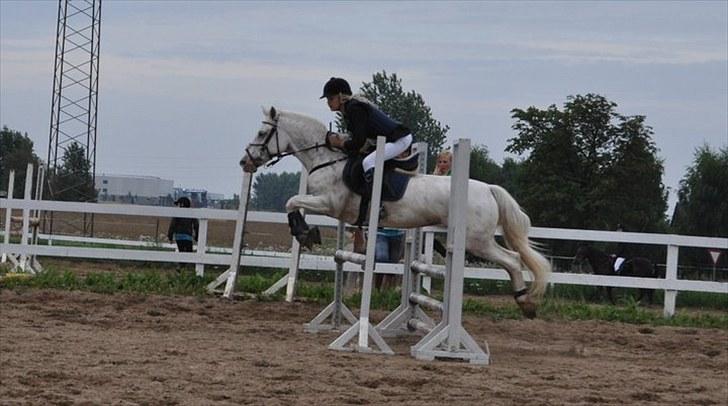 Knabstrupper Zeba, min bedste ven :* - *Foto: Isabella Larsen* billede 16