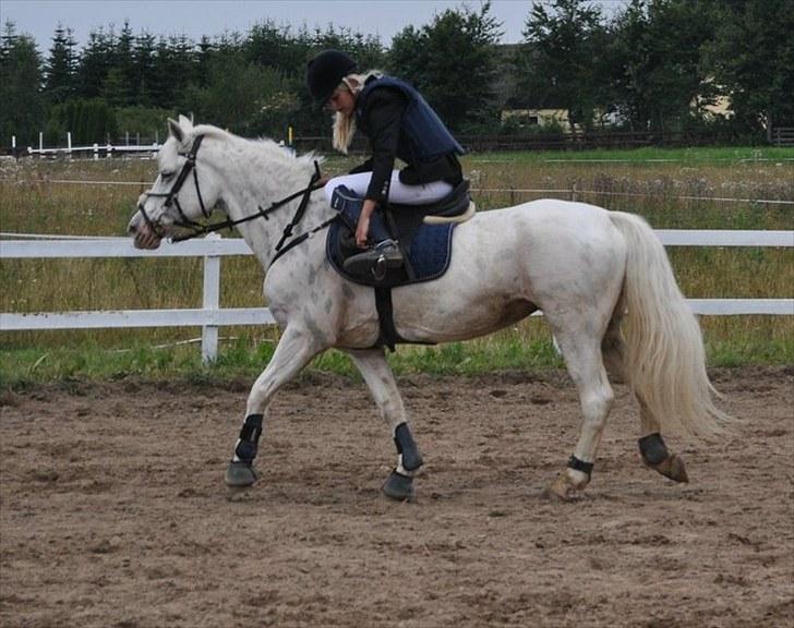 Knabstrupper Zeba, min bedste ven :* - *Foto: Isabella Larsen* billede 17