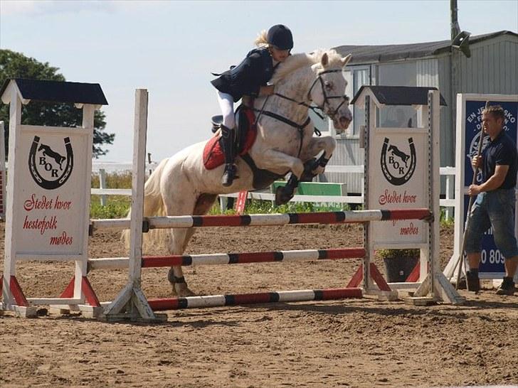 Knabstrupper Zeba, min bedste ven :* - *Foto: Nina Guldager Mikkelsen* billede 18