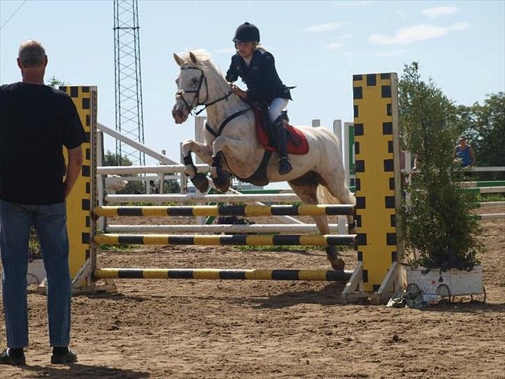 Knabstrupper Zeba, min bedste ven :* - *Foto: Nina Guldager Mikkelsen* billede 19