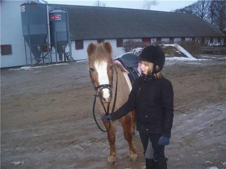 Anden særlig race  Dixie [SOLGT] ;'S - Hun er jo så glad :D billede 5