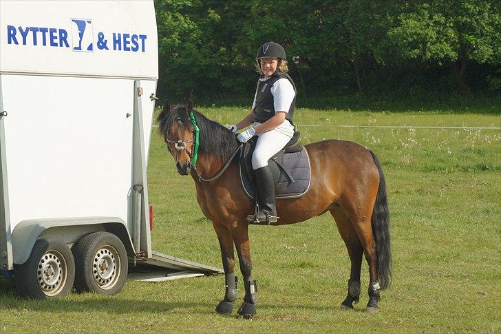 Anden særlig race Stjerne - stævne den 21 maj med min lillesøster 4 plads LF spring metode A billede 15