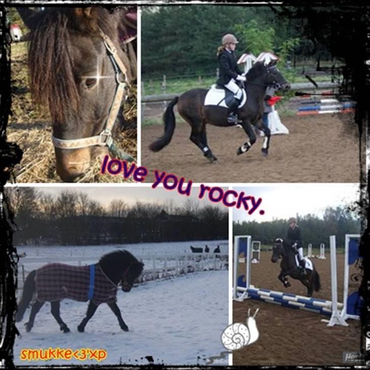 Anden særlig race Rocky *gl låner*<3 billede 13