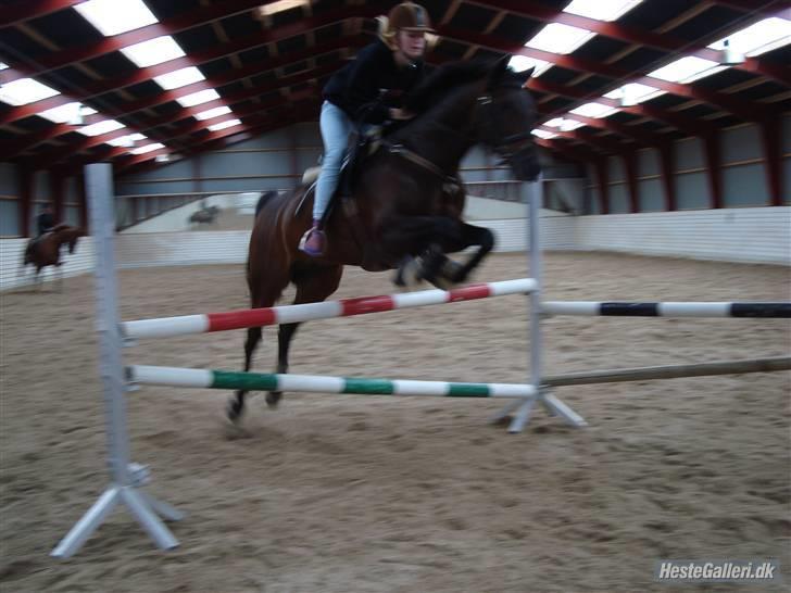 DSP Apollo (Gjøll's Jeff) - Springning, Jeg springer i sokker og leggins. billede 17