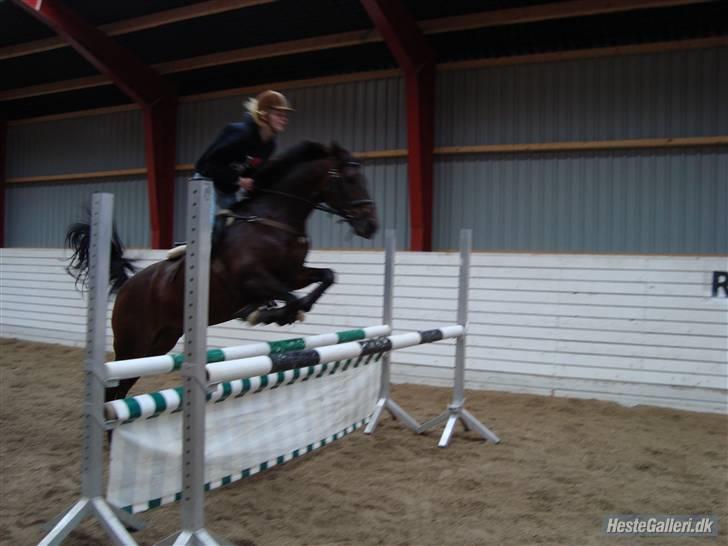 DSP Apollo (Gjøll's Jeff) - Springning, Jeg springer i sokker og leggins. billede 19
