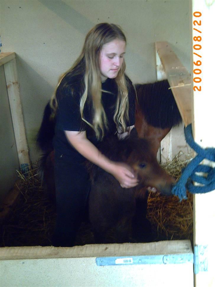 Anden særlig race lucky von lynegaard - her er hun et år og det er mig der "rider" hende (bare rolig jeg står på jorden) billede 3