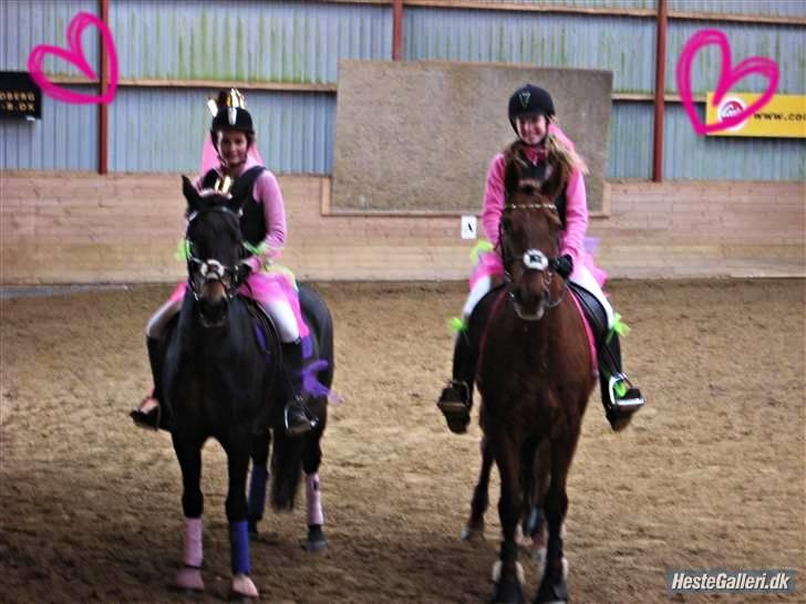 Anden særlig race Malibu - Til fastelavnsstævne. billede 18