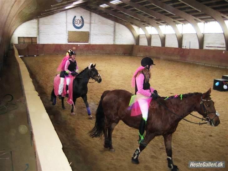 Anden særlig race Malibu -  min lille skat! < 3  billede 19