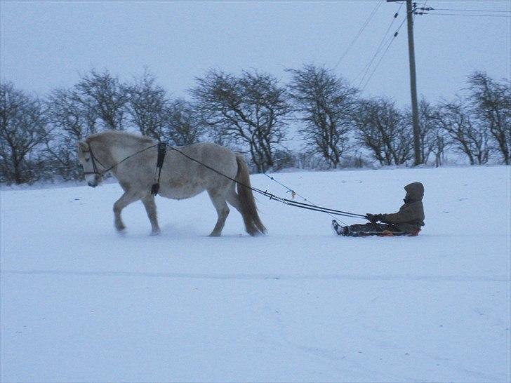 Islænder KRAFSA FRA RAVNEKROGEN |Skadet| - 3. Vinter 2010-11. ´Hehe vi kan finde på hvad som helst ;P <3<3<3

Trust and loyalty is easy to lose and difficult to get. billede 4