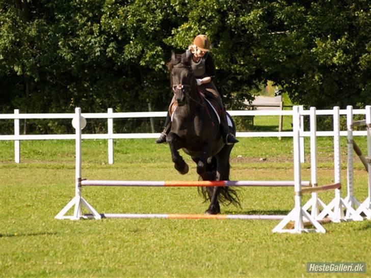 Frieser Eline Bouwkje B. billede 19