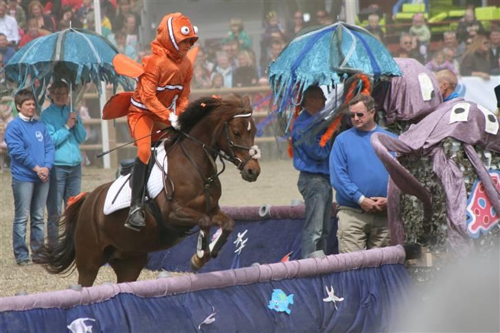 DSP Moonlight Dancer billede 18