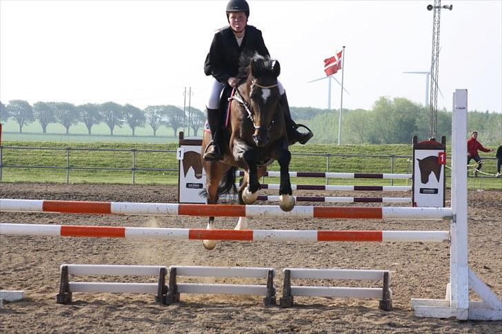 Anden særlig race Cougar(R.I.P.-22/4-11) - :P billede 4