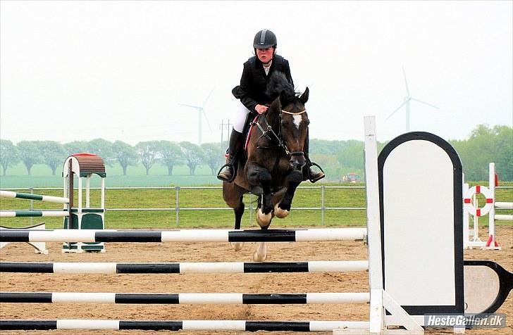 Anden særlig race Cougar(R.I.P.-22/4-11) - Billede her afslører tydeligt, at vi rider den forkerte vej ;-) hehe billede 15