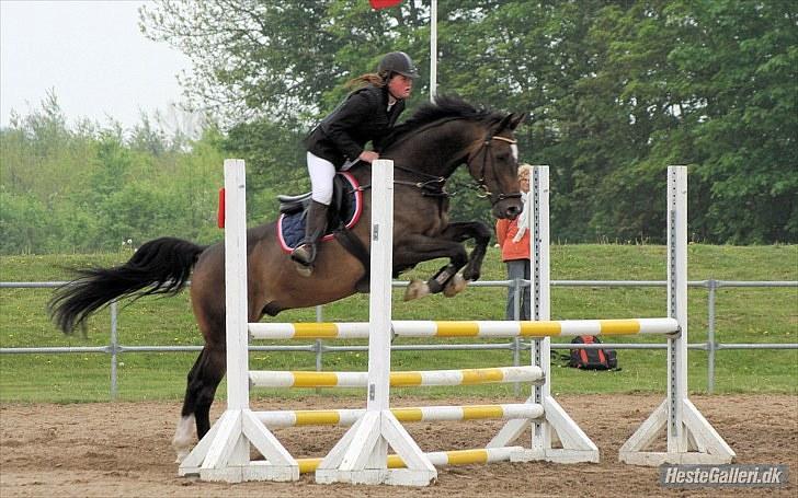 Anden særlig race Cougar(R.I.P.-22/4-11) - Super Mads :D billede 17