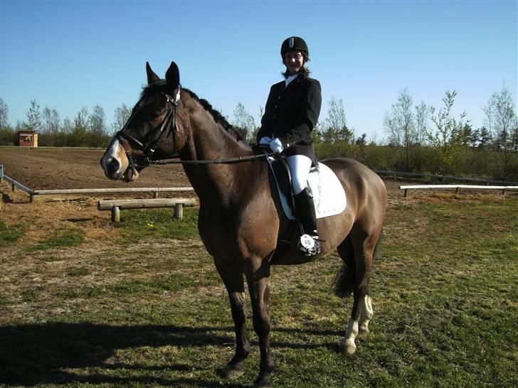 Dansk Varmblod bogart - mig og bogart til stævne i skærbæk 2009. i år efter tragedien. billede 7