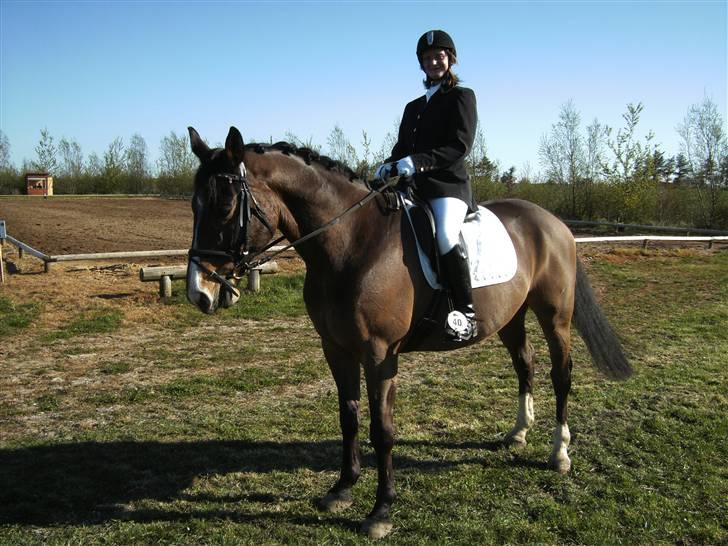 Dansk Varmblod bogart - stævne i skærbæk 2009 billede 8