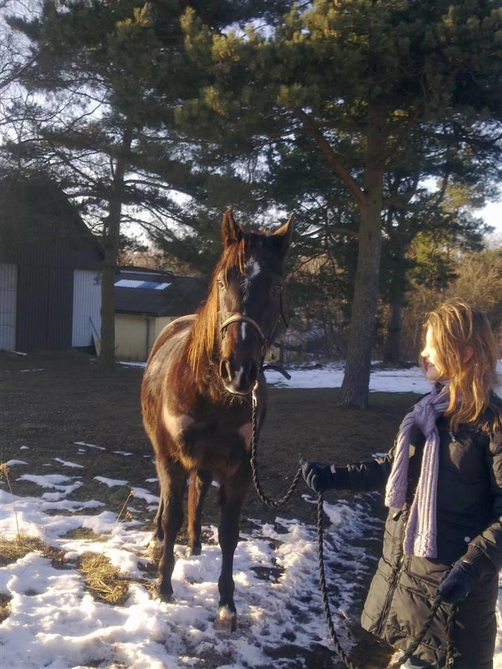Traver | Sammy <3 *helpart* - "Er jeg ikke bare skøn?" Foto: Mai billede 7