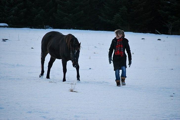 Traver | Sammy <3 *helpart* - Follow me...  (; Foto: ESC billede 9