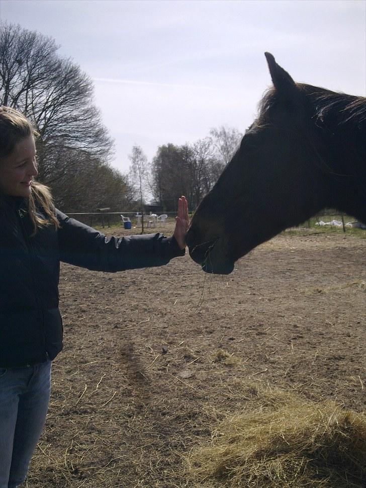 Traver | Sammy <3 *helpart* - High-five baby :D Foto: Sophie billede 10