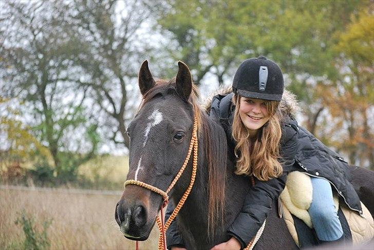 Traver | Sammy <3 *helpart* - Foto: Simone billede 11