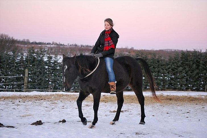 Traver | Sammy <3 *helpart* - I cordeoen :) Foto: ESC billede 12