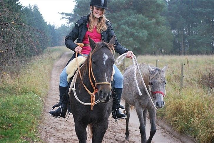 Traver | Sammy <3 *helpart* - Se hvor de er dejlige mine to heste :)))) Skulle lige prøve at have Amy som håndhest!  billede 14