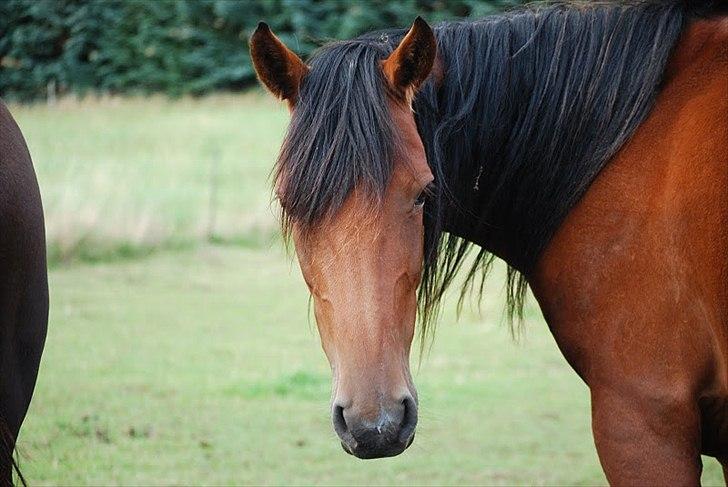 Traver | Kiara <3 *Part* billede 2