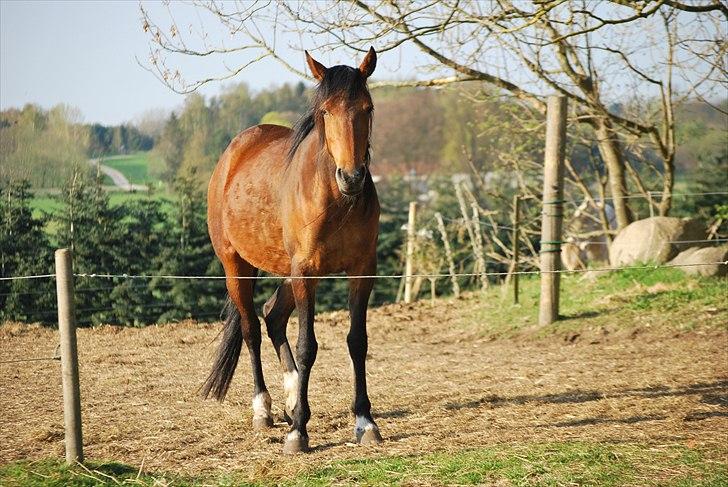 Traver | Kiara <3 *Part* billede 6